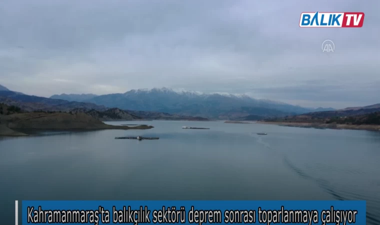 Kahramanmaraş'ta balıkçılık sektörü deprem sonrası toparlanmaya çalışıyor