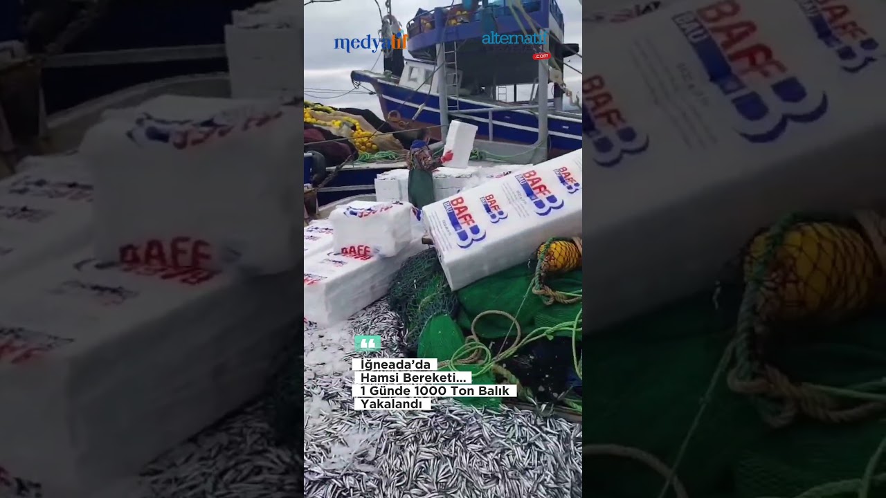 İğneada’da Hamsi Bereketi… Günde 1000 Ton Balık Yakalandı