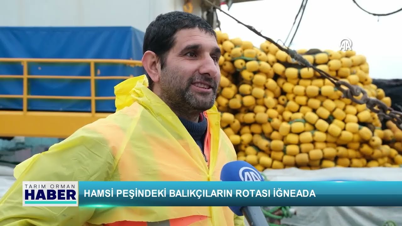 Hamsi peşindeki balıkçıların rotası İğneada